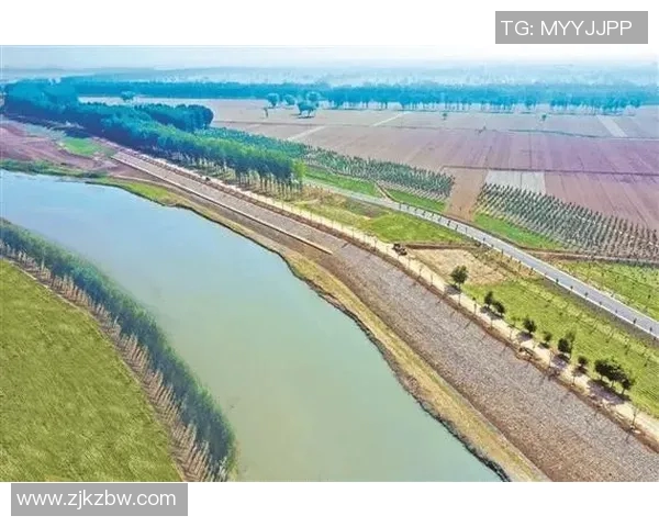 阎相闯:在时代变革中探索创新与责任的双重使命